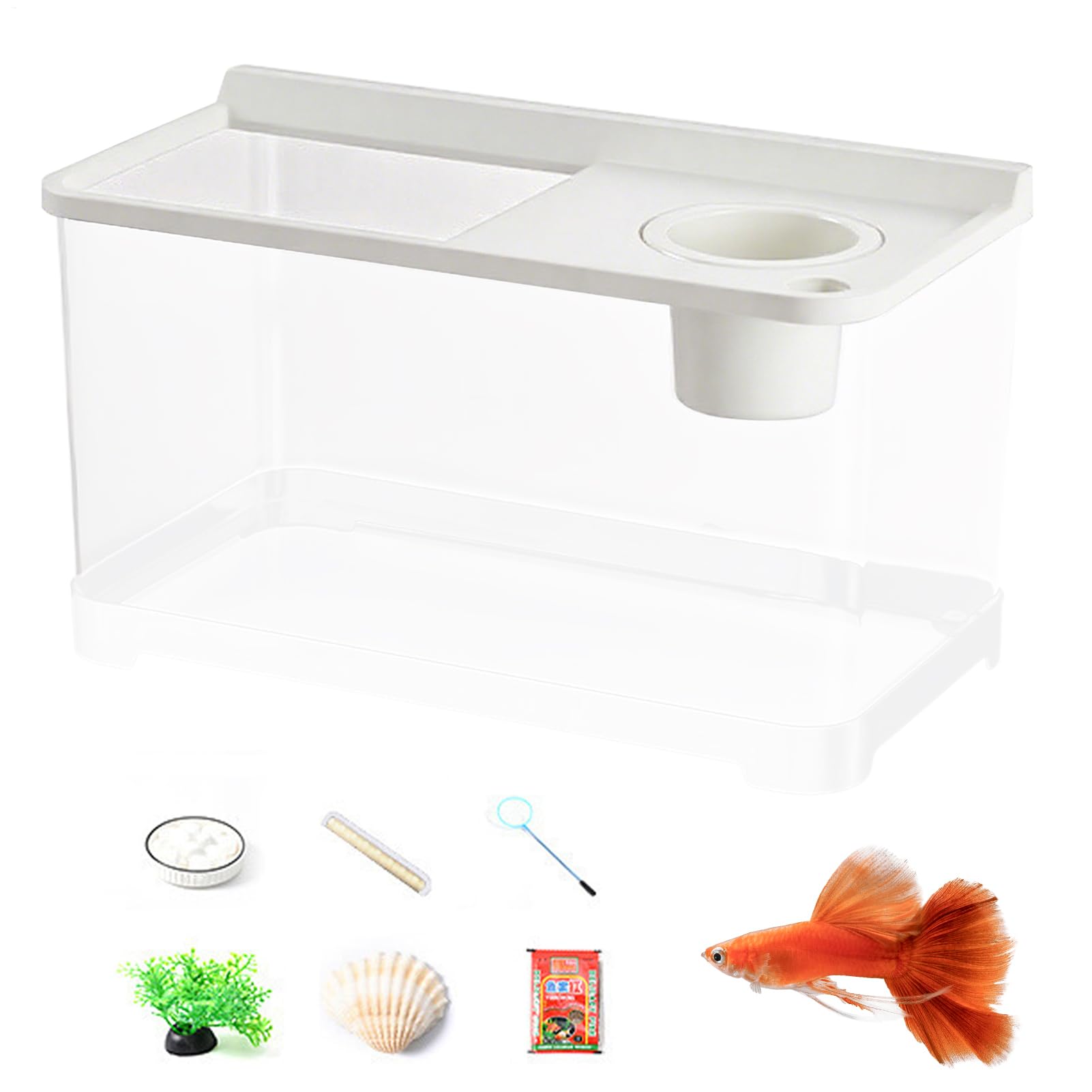 Aquarium avec 3 lumières idéal pour l'entrée, la chambre et le lieu de travail