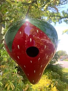 Strawberry Gourd Birdhouse, Hand Painted Garden Art for Outdoor Decor