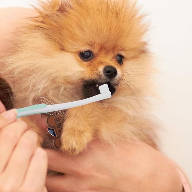 Foto 8 de 8 de 2 Cepillos de Dientes de Gato Perro