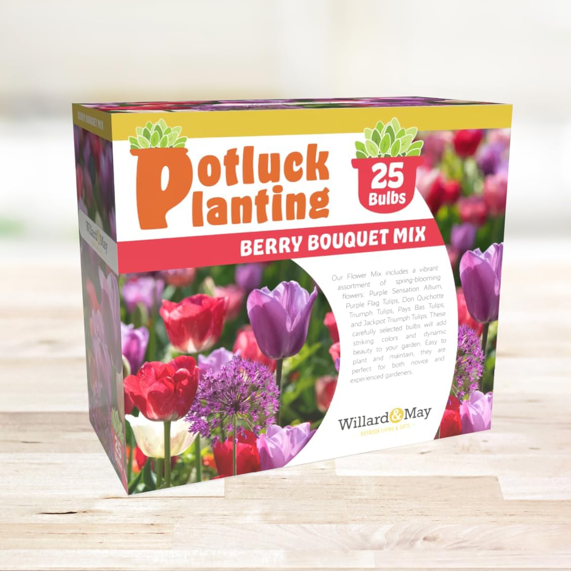 All-in-One Flower Garden Kit - 25 Flower Bulbs Per Box - Potluck Planting Berry Bouquet Mix - Allium and Tulip Mix - Fragrant - Naturalizing - Live Outdoor Garden - Easy to Plant Flowers