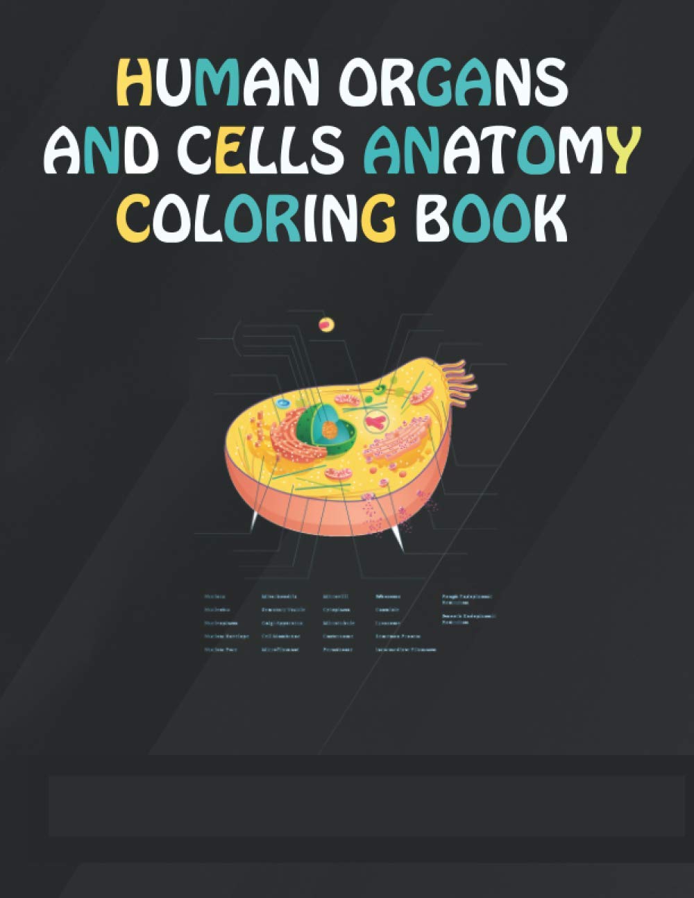 HUMAN ORGANS AND CELLS ANATOMY COLORING BOOK: Coloring Book For learn about Cells and Organs.