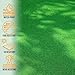 Sweethome Meadowland Collection Indoor and Outdoor Green Artificial Grass Turf Area Rug 6'6