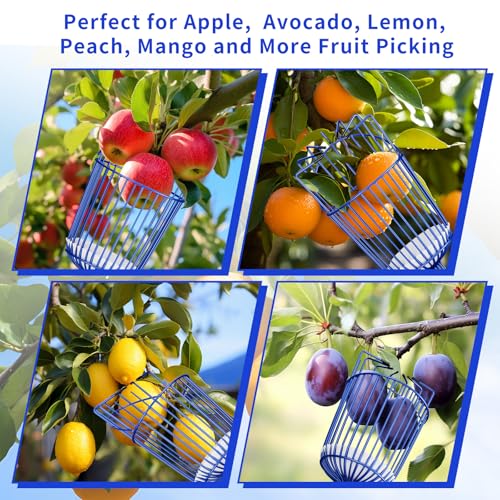 Ginbel Direct Fruit Picker Pole with Basket, Adjustable Fruit Tool for Apple Avocado Cherry Citrus Lemon Orange Peach Picking(40-160") by Ginbel Direct - Image 6