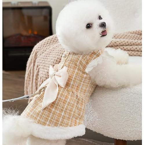 [SeitenFB]̕ ls[X vZX {t hbOEFA H~ h ^ ^   ybg o U hX J[LF-XS