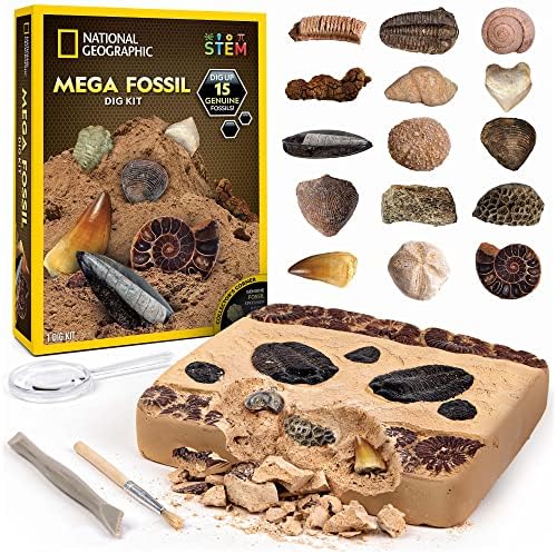 NATIONAL GEOGRAPHIC Mega Fossil Dig Kit - Excavate 15 Prehistoric Fossils Including Dinosaur Bones & Shark Teeth, Educational Toys, Great Science Kit Gift for Girls and Boys (Amazon Exclusive)