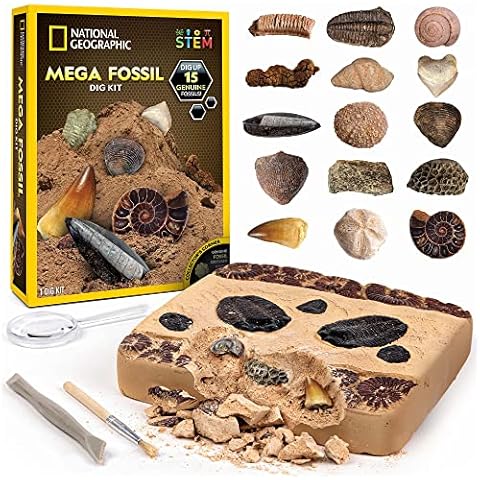 National Geographic Mega-Fossilienausgrabungsstätte - 15 echte Fossilien Cover