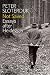Not Saved: Essays After Heidegger
