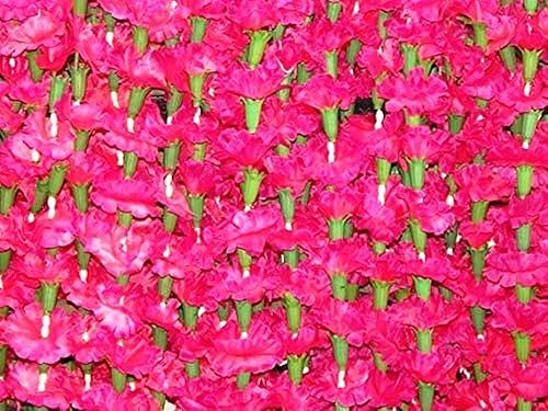 Genx 5 guirnaldas de flores artificiales de caléndula rosada de 5 pies de largo, para uso en fiestas, celebraciones, bodas indias, eventos temáticos