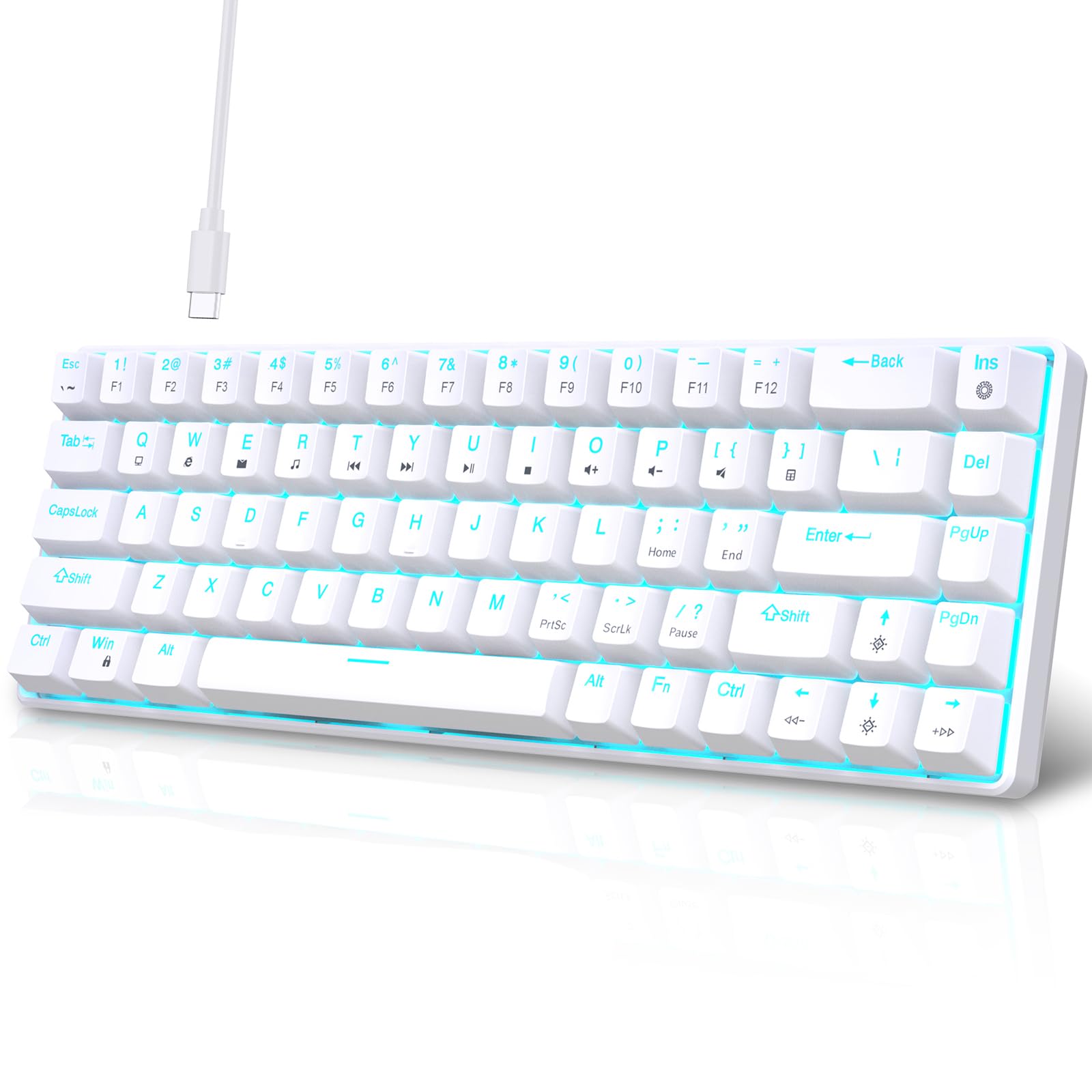 68Keys Tastiera Meccanica Double Shot Iniezioni con Opzione Backlits per PC Gamers USB C Piccola Tastiera da Gioco