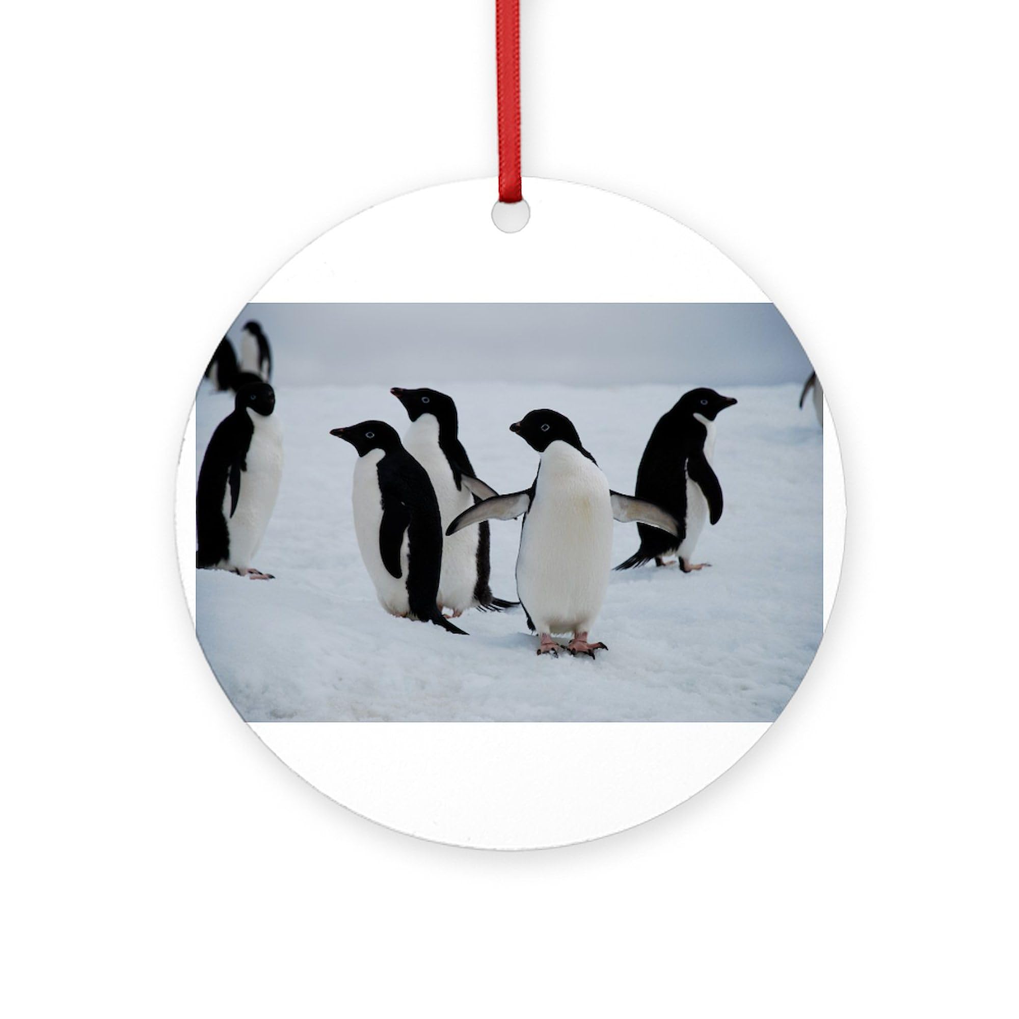 CafePress Adelie Penguin in Antarctica Round 4" MDF Holiday Ornament