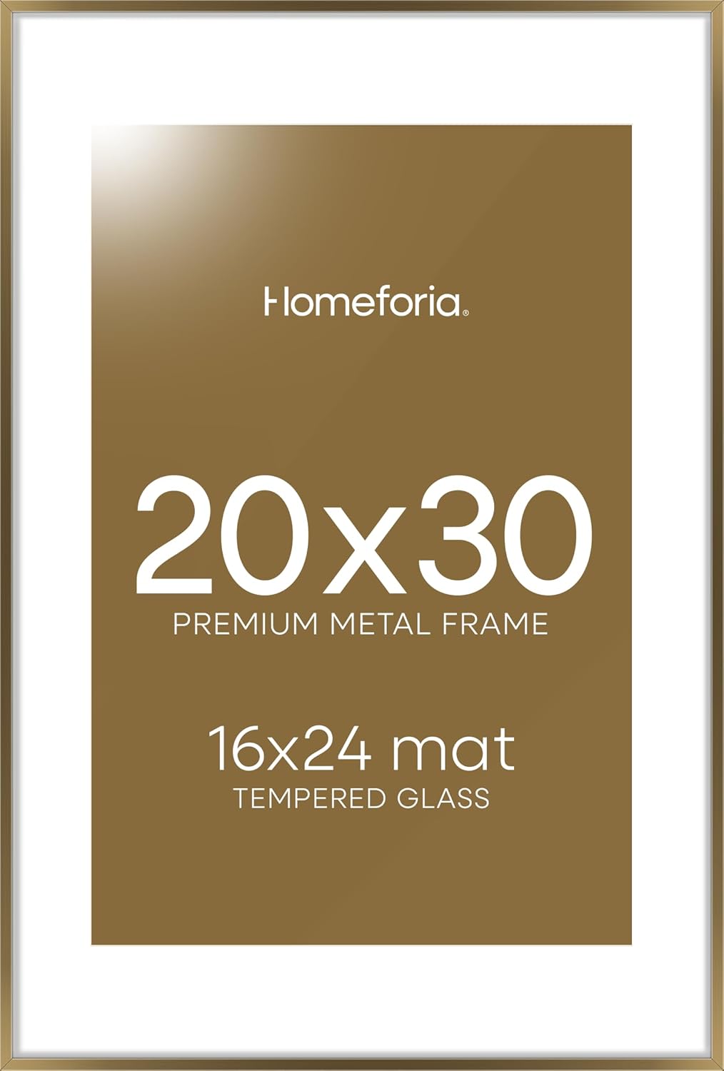 Homeforia 20x30 Bronze Frame with Glass