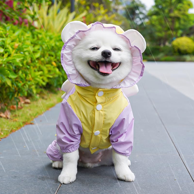 Angel Wing Waterproof Raincoat for Small and Medium Dogs & Cats