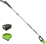 Greenworks 80V 10' Cordless Polesaw (Great For Pruning and Trimming Branches / 75+...