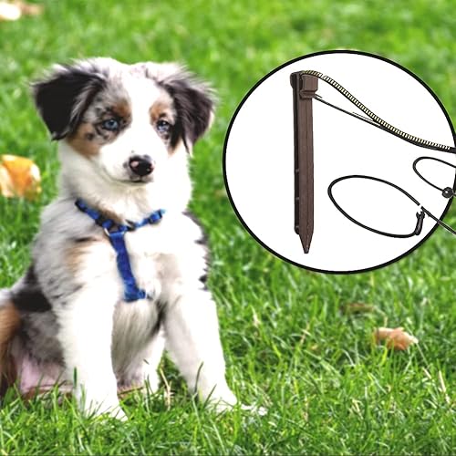 Miniatura 5 de 30 estacas de jardín marrones con bordes de paisaje de 10 pulgadas estacas de anclaje de plástico resistente para jardín para bordes y tablas de