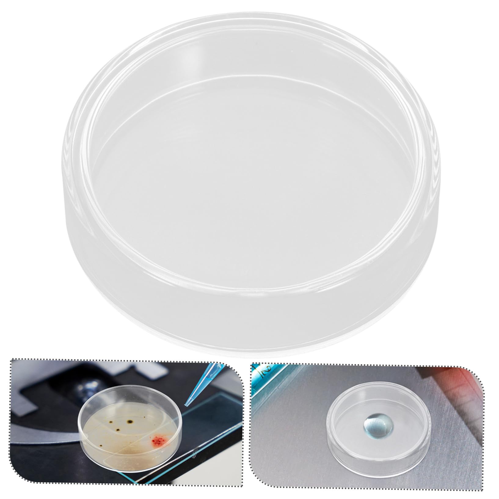 10 Stück Teiliges Borosilikatglas Petrischalen Nährboden für Labor und Wissenschaft Hitzebeständig Wiederverwendbar Klare Mikroskopie für Bildungs Forschungsprojekte