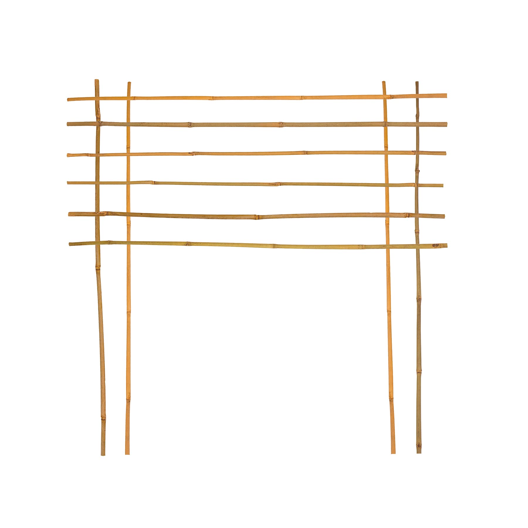 BigDean 10x Pflanzstab Bambusstab 105 cm x 8-10 mm Bambus Rankhilfe  Pflanzstab Tonkinstab 100% Naturprodukt Pflanzstbe Bambusstbe  Bambusstangen : Amazon.de: Garten