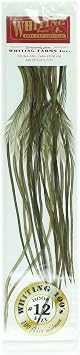 White Dyed Dark Olive - 100s Size #12