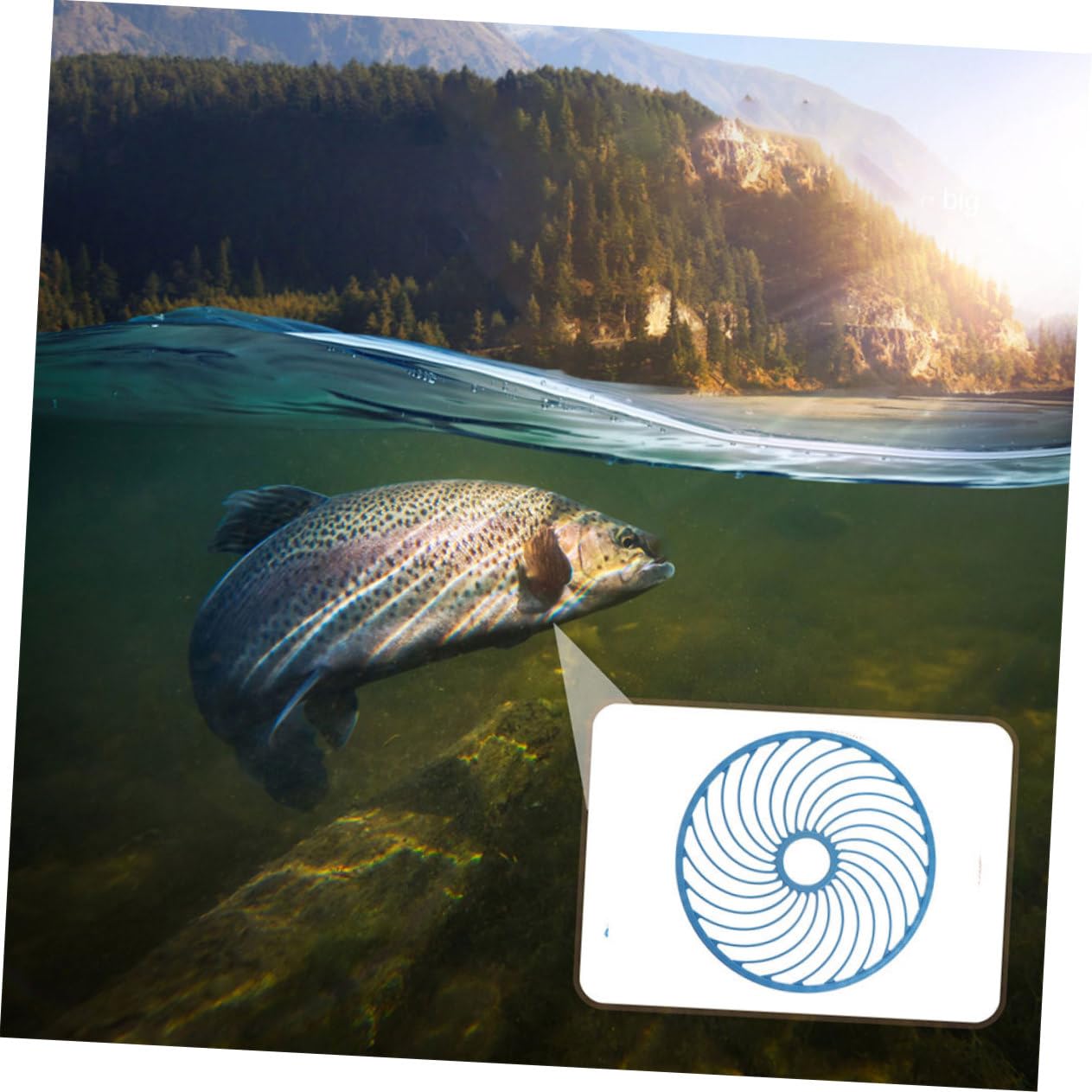 BESPORTBLE 2pezzi Disco da Lancio per Retino da Pesca di Dischi per Lanciare Reti Circolari Accessori per Pesca in Acqua Salata e Rilascio di Retini