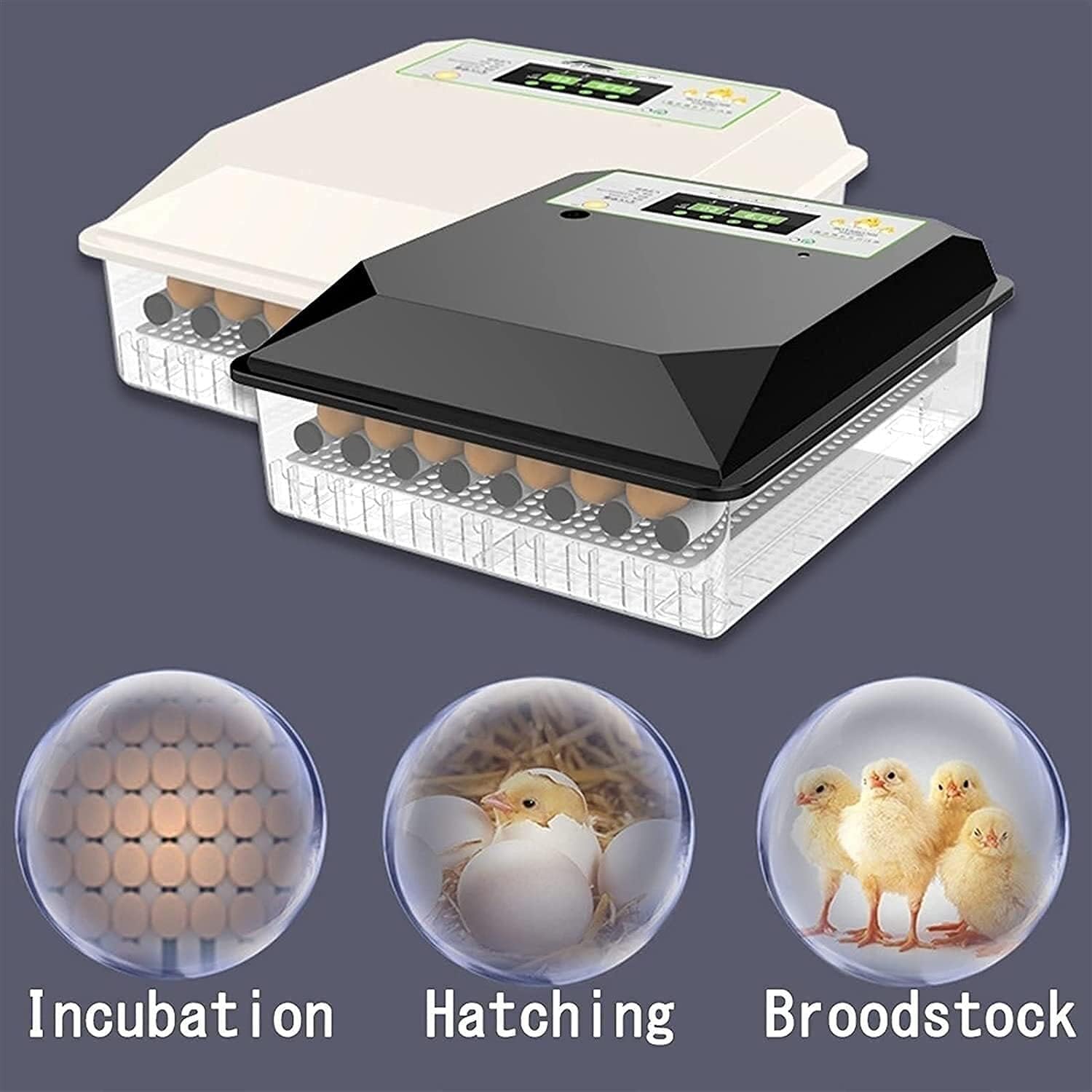 Incubators Hatching Eggs Incubator Digital Poultry Automatic Temperature Humidity Control Automatic Egg Turning LED Egg Candle Tester