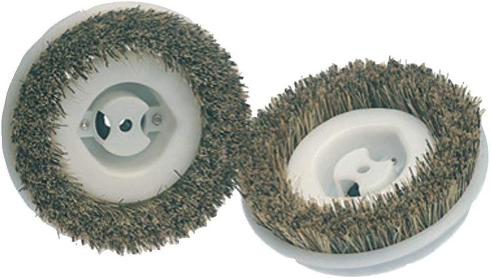 Koblenz 45-0134-2 Floor Scrubbing Brushes, 2-Pack, Standard, Beige/White