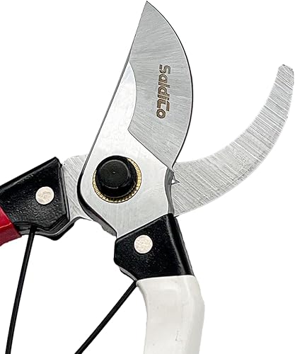 Miniatura 4 de SaidiCo - Podadora manual de jardinería de grado profesional de 3/4 pulgadas (paquete de 6)