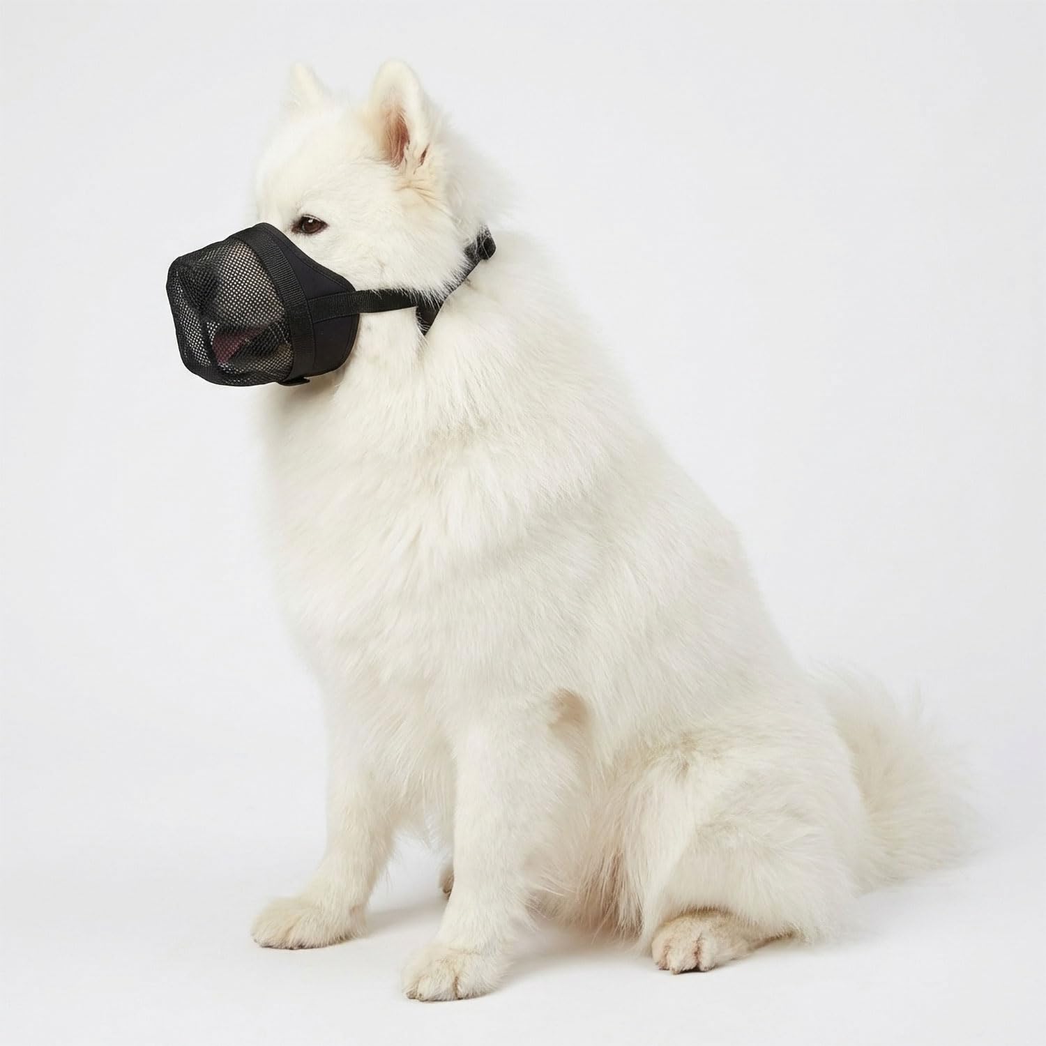 Nature Pet Giftköderschutz Hund/Leckschutz bei Wunden und OP/anstatt Plastik Kragen oder Halskrause/Schutznetz Lange Ausführung (L)