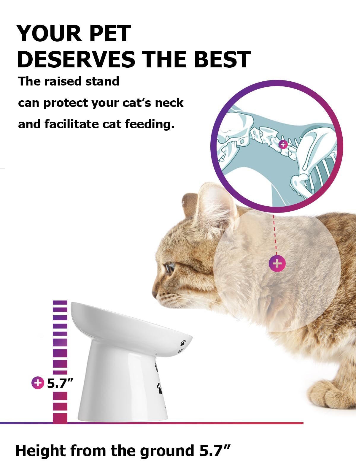 Y YHY Mangeoire lente pour chat, 15,2 cm, gamelle surélevée pour chien, gamelle anti-vomissements en céramique pour nourriture sèche et humide, blanc