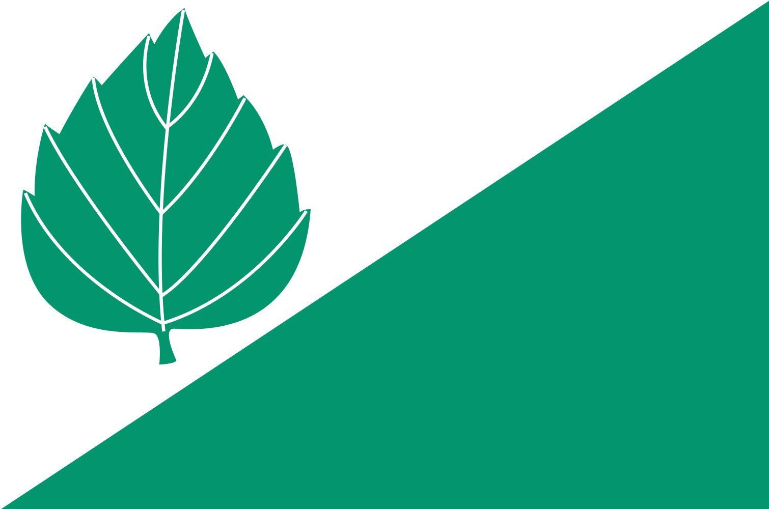 Drapeau Large Březina dříve okres Tišnov grand format résistant