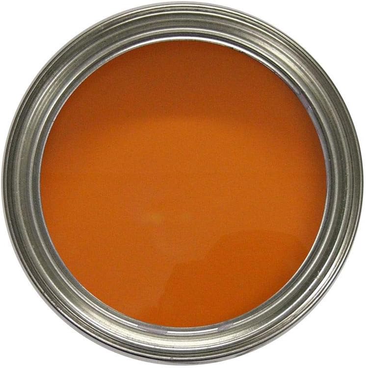 Car Van Motorbike High Temperature Engine Parts and Components Enamel Paint - Available in 16 Colours (Gloss Orange)