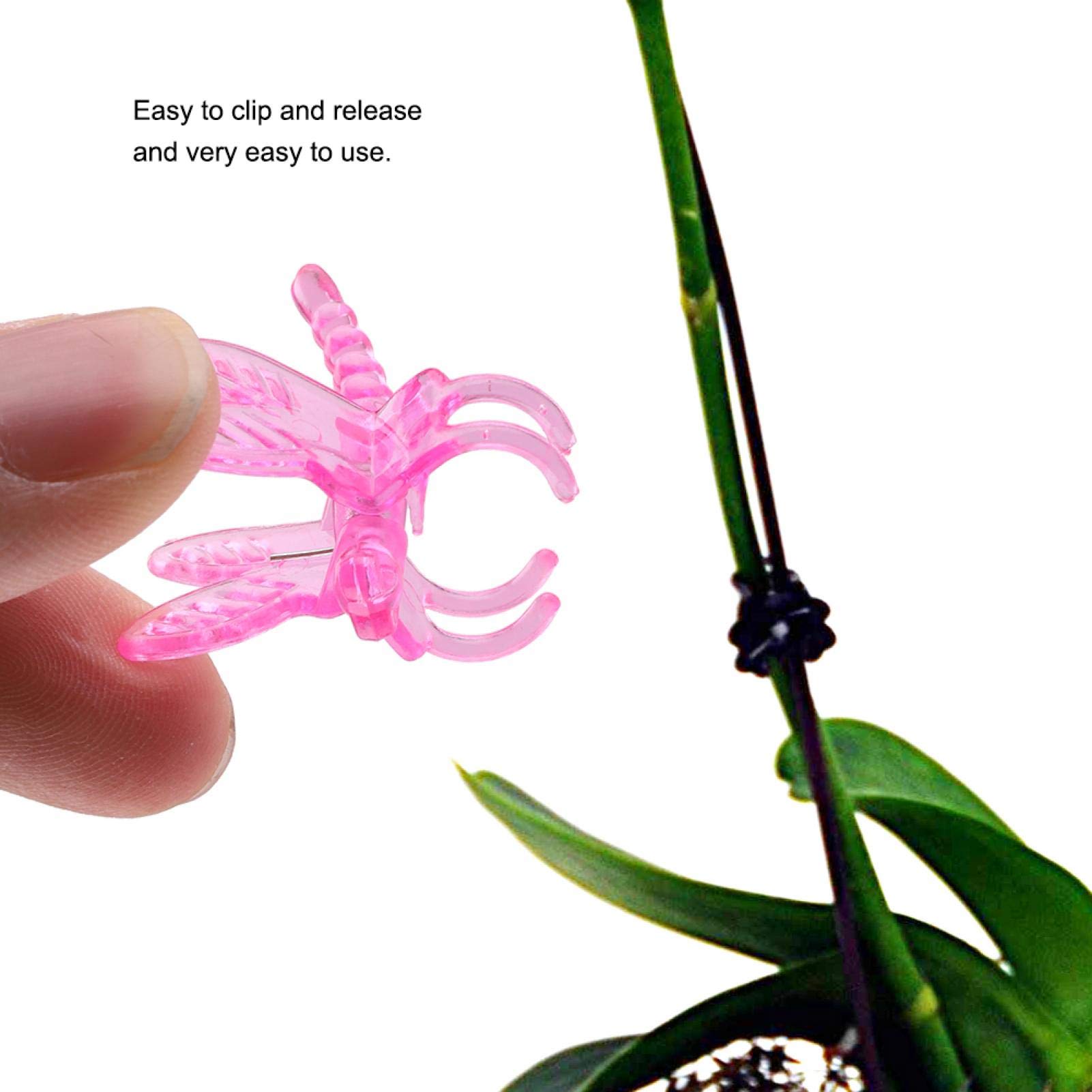 PUNELE Clip D'orchidée, 100 Pièces Outils De Jardin Clips De Tige Poussent Des Mini Tiges D'orchidées Verticales En Plastique Fleur (Blanc