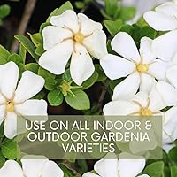 Vista 4 de Lush Leaf Alimento para plantas (Gardenia)