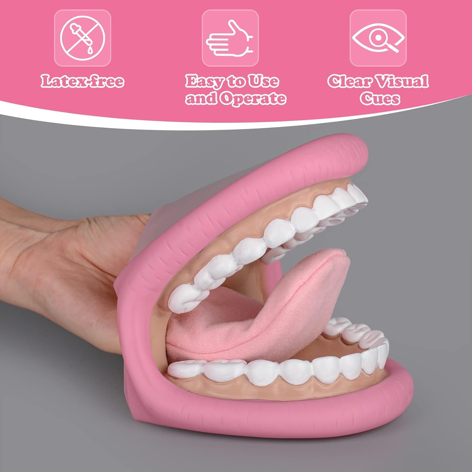 Marionnette Bouche Dentaire Avec Brosse - Modèle éducatif Pour Enfants - Apprentissage Hygiène Buccale
