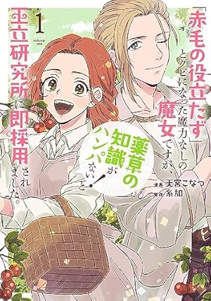 Amazon.co.jp: 魔術師団長の契約結婚（コミック） 1巻 (デジタル版