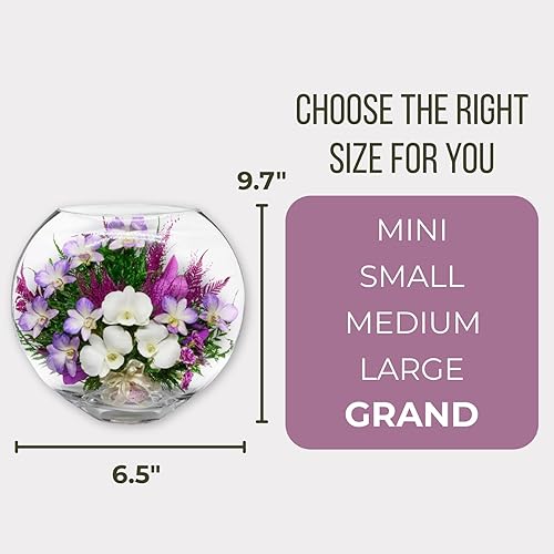 Miniatura 10 de Fiora Flower  Orquídeas de larga duración  Dura hasta 5 años  Sin necesidad de agua  Sin alergias  Resistente al olor  Regalo único