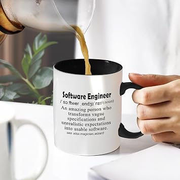 Funny Mug Computer Programmer Gifts for Software Engineer Gift Software Developers Mug Funny Explaination of Sofeware Engineer 11oz BLACK Handle