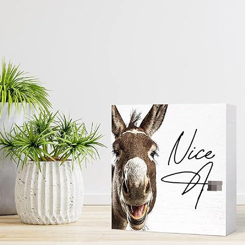 Miniatura 7 de SJNH Letrero Gracioso de Burro de Madera para Baño, Pequeño Decorativo en Madera para Estante de Baño, Bonito Signo de "Nice Ass" en Caja de Madera