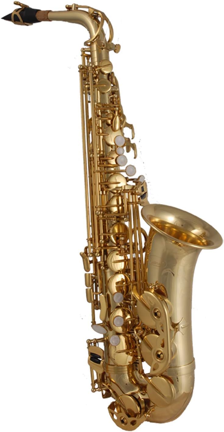TAS-135 Sassofono Contralto in Mi♭ completo di custodia di alta qualità, bocchino Soundman D5, corso di sax “Alto Saxophone Basics” (set iniziale)