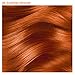 Adore Semi Permanent Hair Color - Vegan and Cruelty-Free Hair Dye - 4 Fl Oz - 038 Sunsine Orange (Pack of 3)