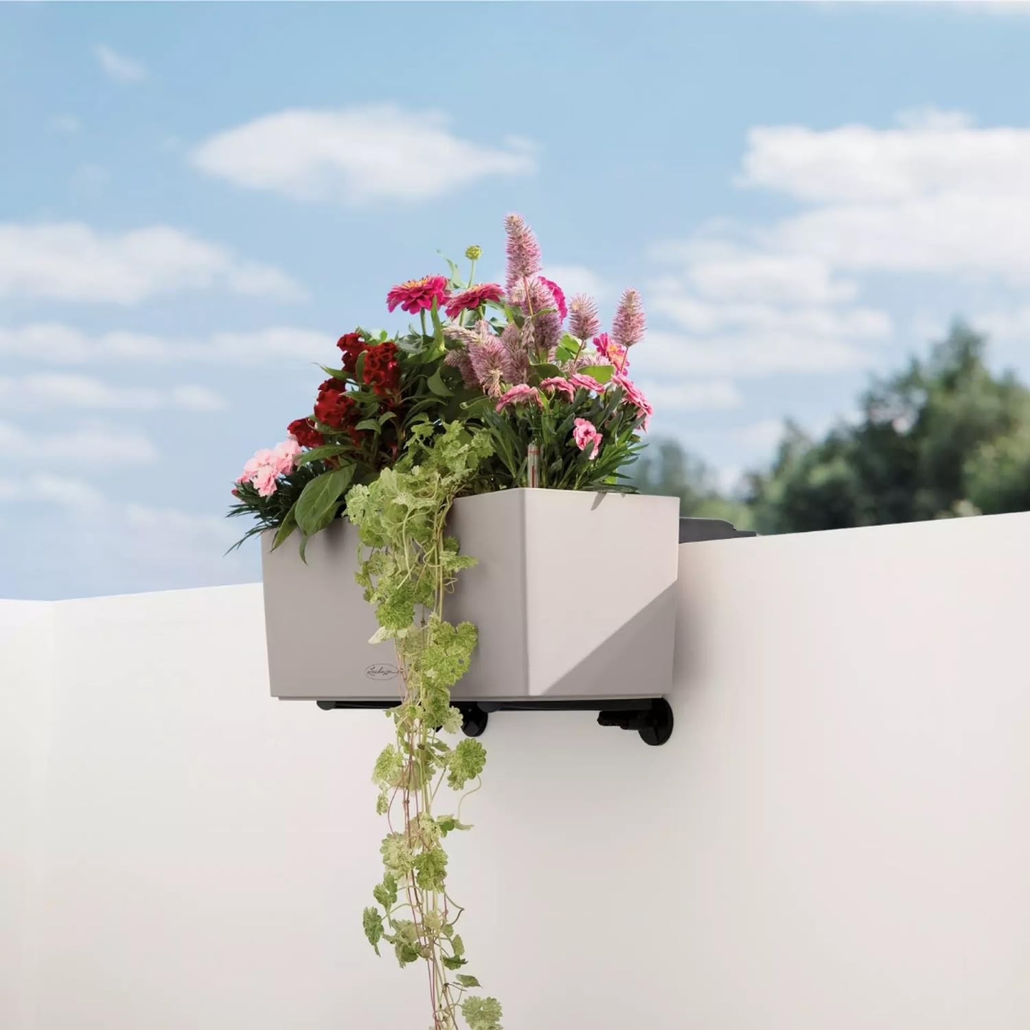 Amazon.com: Lechuza -Accessories Balcony Box Holder Wall Black 4.5