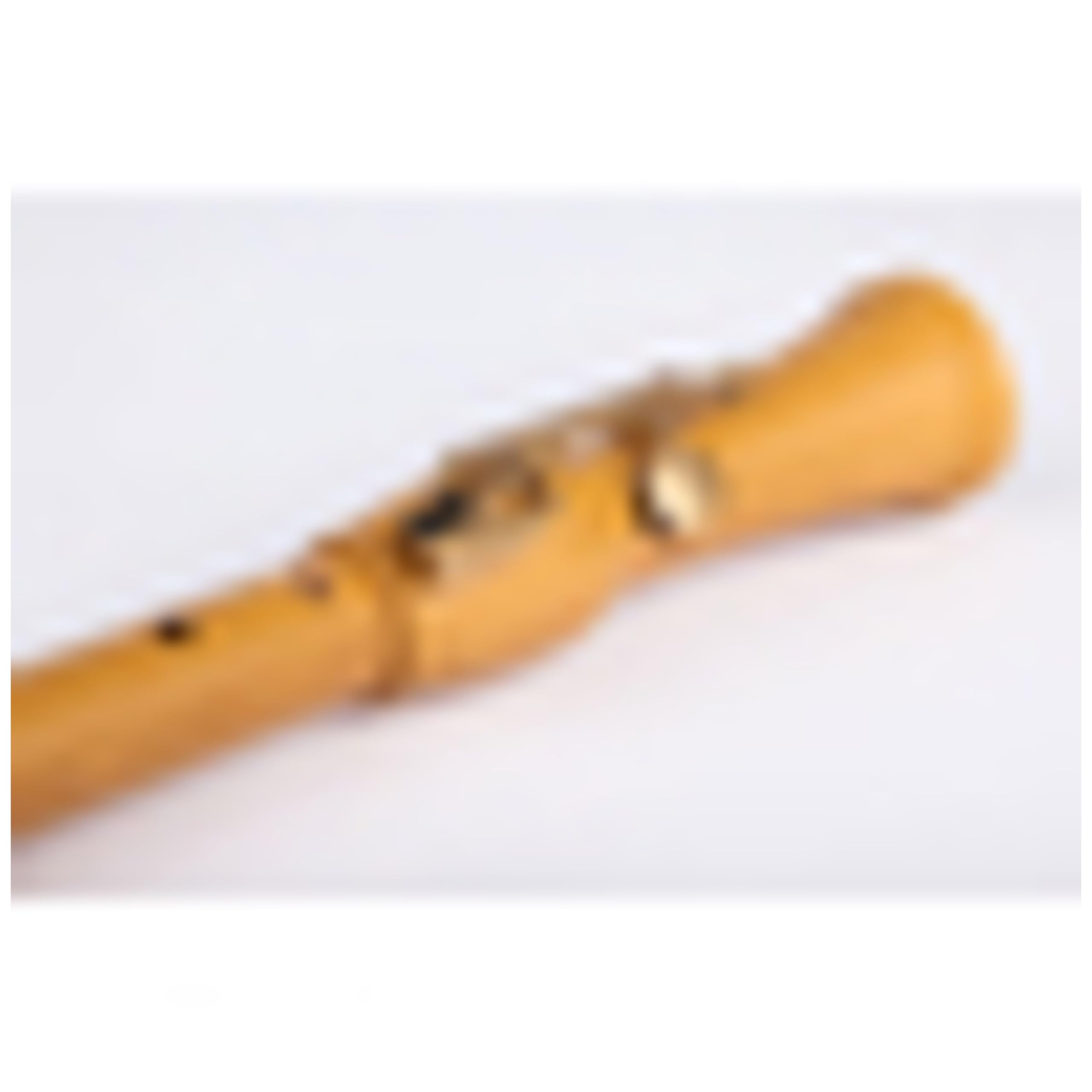 Mollenhauer 2446 CANTA Tenor Birnbaum hell barock