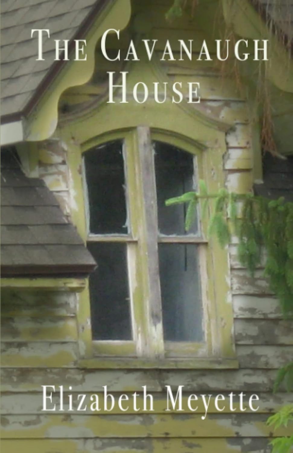 The Cavanaugh House (Finger Lakes Mysteries) 9781493530960