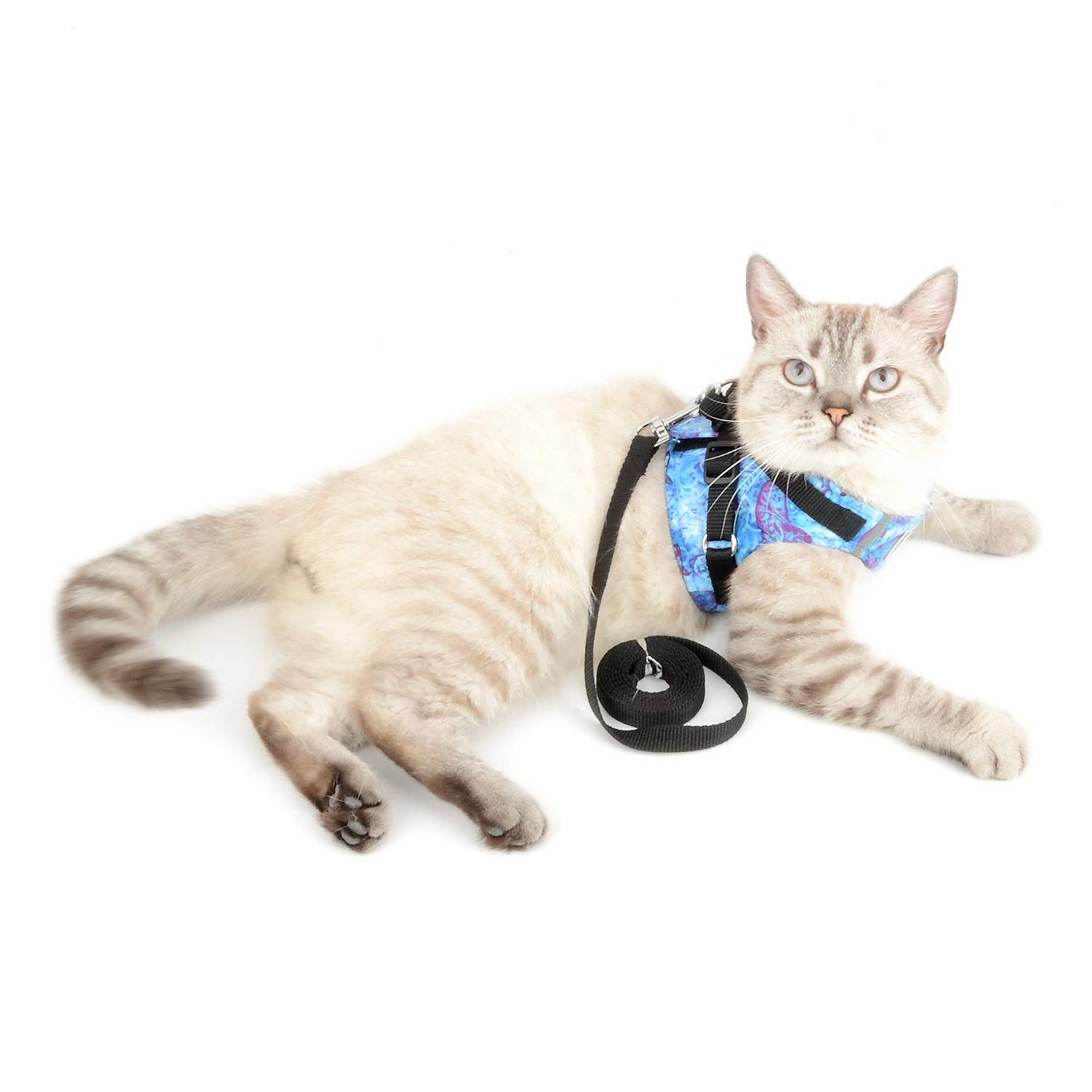 SELMAI Printing Cat Harness and Leash Escape Proof Reflective No Pull Padded Vest for Puppy Small Dogs Lead for Kitten Walking Jacket Easy on Step in Vest Harness Cotton Soft Material Blue XL