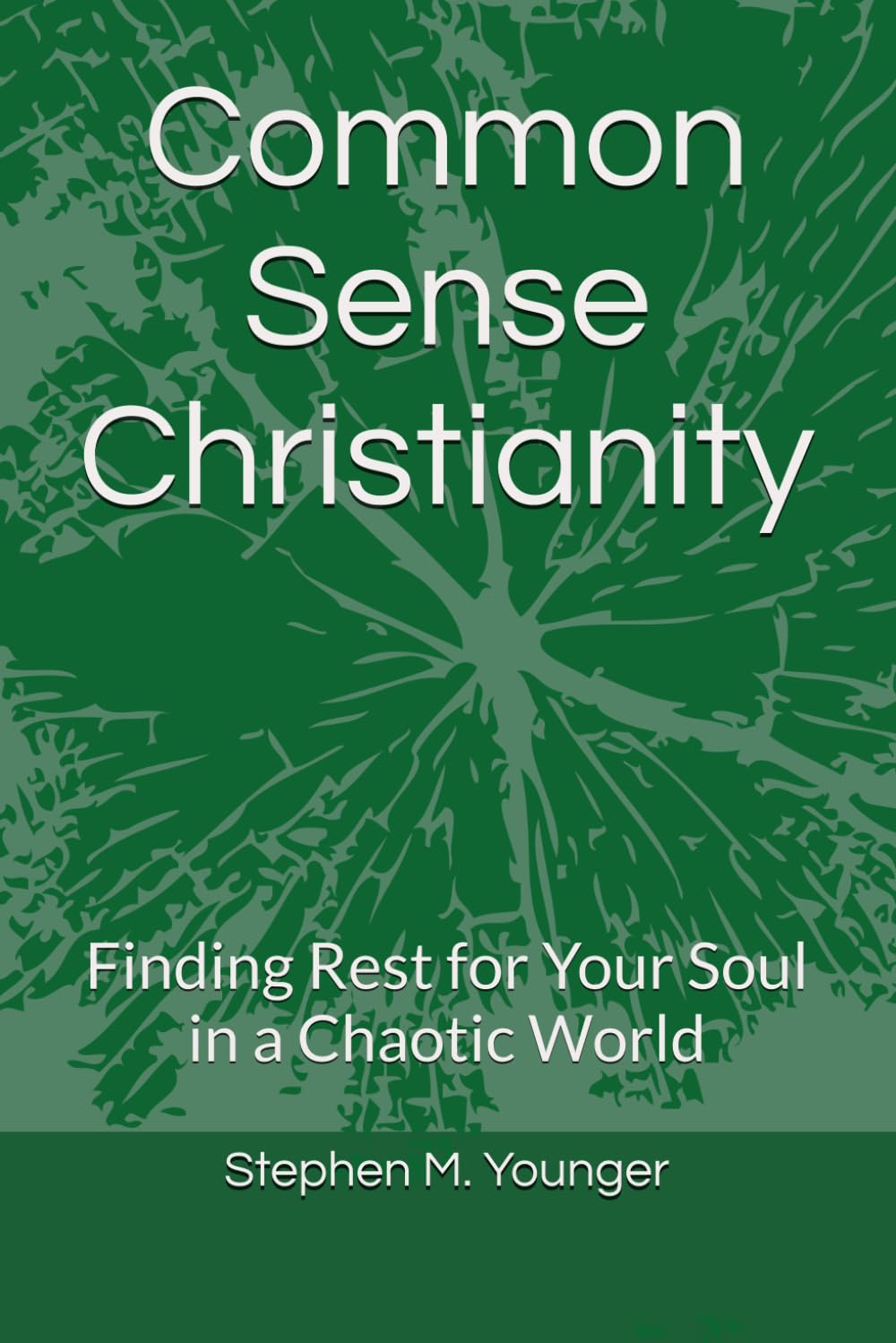Common Sense Christianity: Finding Rest for Your Soul in a Chaotic World