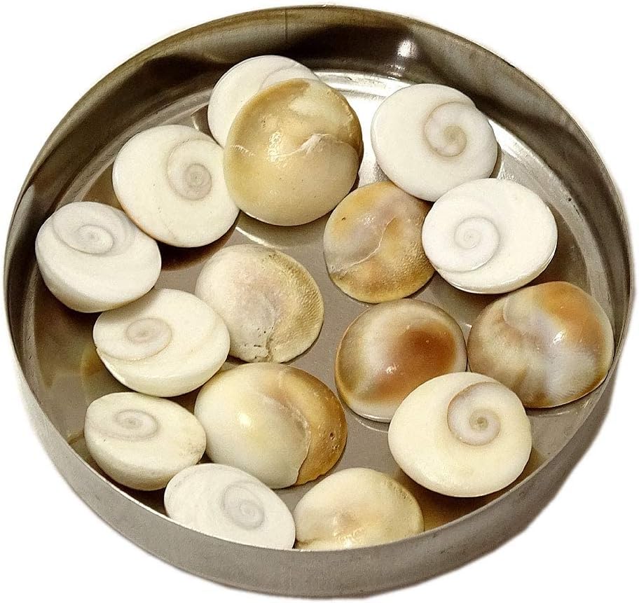 100% Natural Original Gomti (Gomati) Chakra directly from Indian Gomti River | Shiva Eye Shell For Lakshmi Pooja, Wealth, 51 piece, Medium, Gemstone, No Gemstone