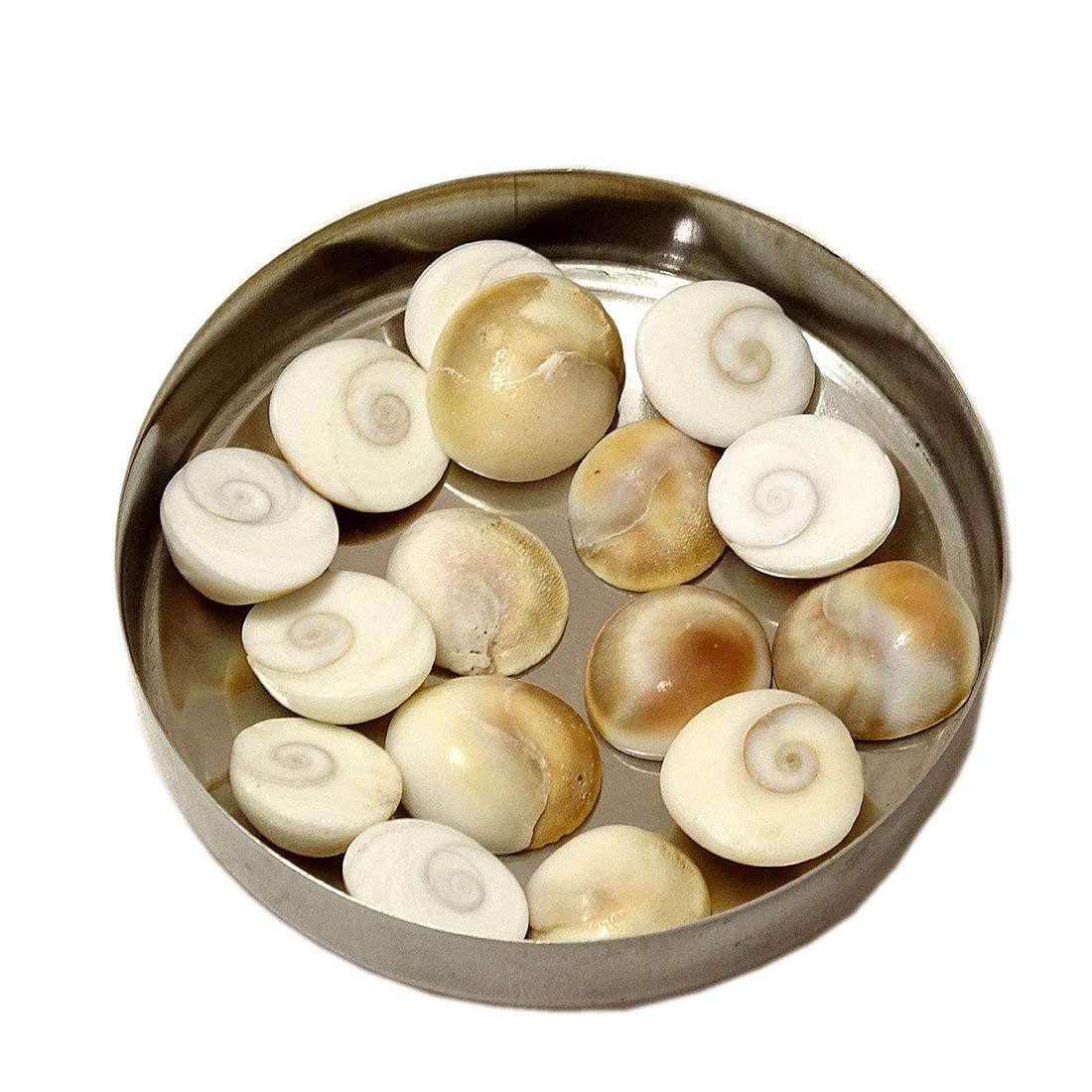 shree jewellers100% Natural Original Gomti (Gomati) Chakra directly from Indian Gomti River | Shiva Eye Shell For Lakshmi Pooja, Wealth, 51 piece, Medium, Gemstone, No Gemstone