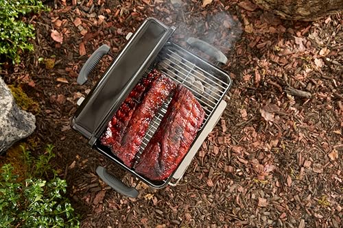 Weber Go-Anywhere Charcoal Grill - Thumbnail 7