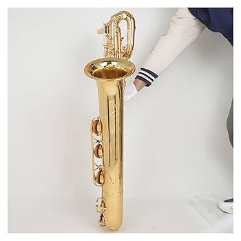 Amazon.co.jp: ユーフォニアム サックス楽器 E フラット