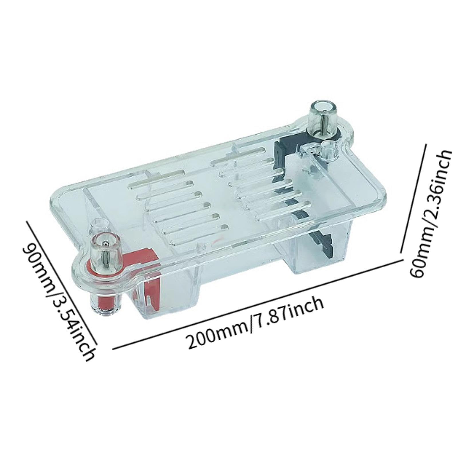 Elektrophorese Apparatur Set mit Gel Tank für Physik Experimente Gel Elektrophorese Rack aus PP Material Lehrmittel für Biologie Unterricht