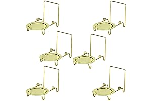 HOHIYA 6pc Tea Cup Display Stand, Gilded, Etched Base