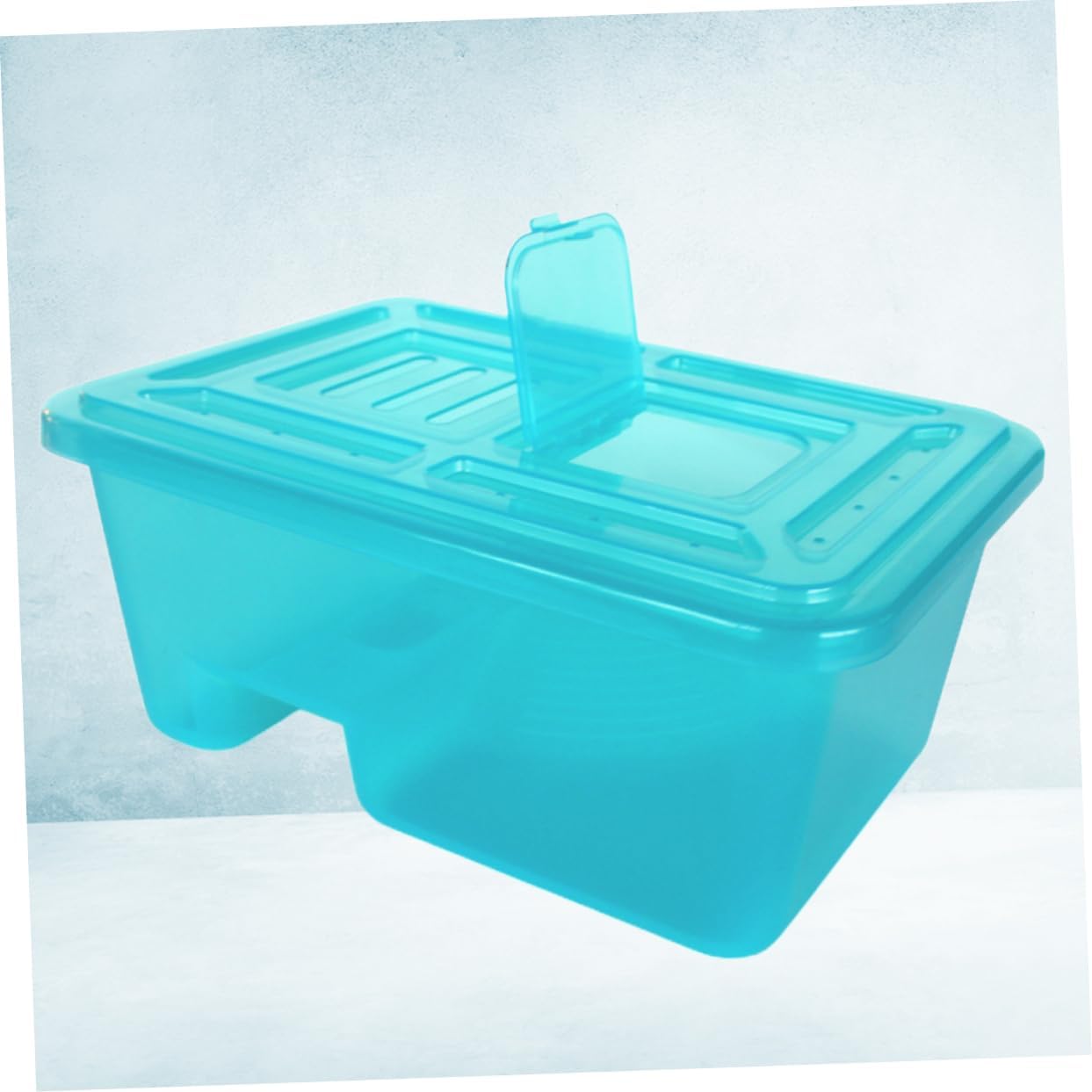 Turtle Tank Lid Plastic Reptile Habitat for Turtles and Tortoises Climbing Ramp Easy Clean and Maintenance